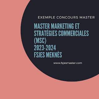 Exemple Concours Master Marketing et stratégies Commerciales 2023-2024 - Fsjes Meknès