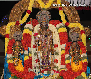 Sri Parthasarathy Perumal,Ippasi,Ekadesi, Manavala Maamunigal,Purappadu,2016, Video, Divya Prabhandam,Triplicane,Thiruvallikeni,Utsavam,