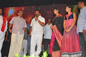 Rudramadevi warangal audio launch-thumbnail-9