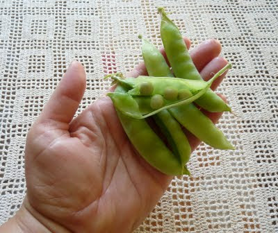 Sapporo Express Peas