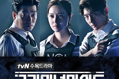 Sinopsis Criminal Minds / Keurimineol Maindeu (2017) - Serial TV Korea