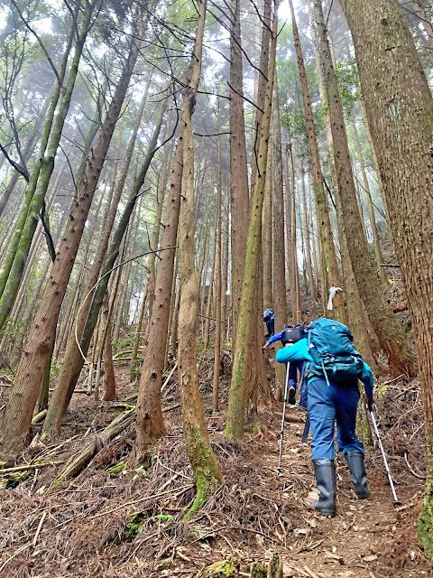 樂山鐵道