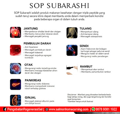 Manfaat SOP Subarashi Untuk Diabetes