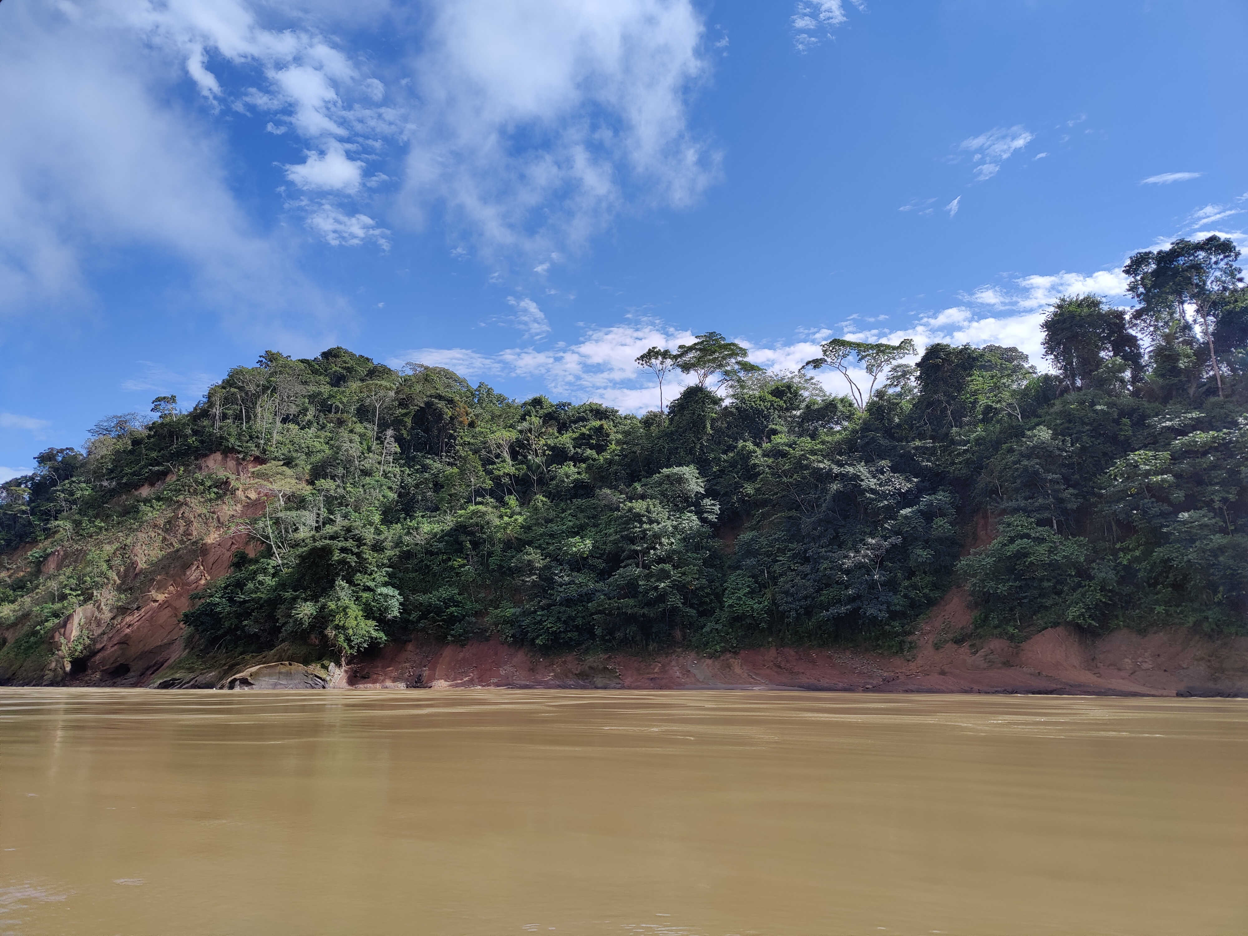 Madidin kansallispuisto, Amazon