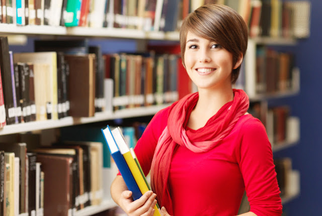 Essay Writing Service