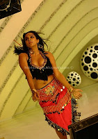 Priyamani hot navel in dancing stills