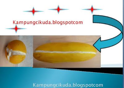 Cara Membuat Rujak Timun Suri