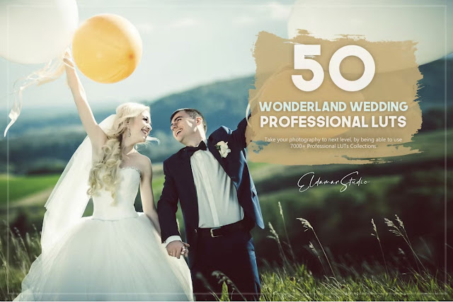 50 Wonderland Wedding LUTs Pack