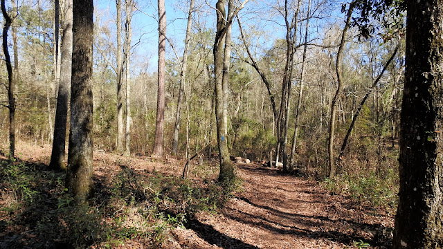 Big Shoals State Park