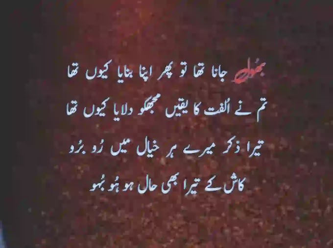 Bhool Jana Poetry In Urdu