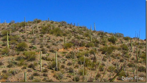 Mt. Wassen hike_064