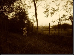 Oxford 2010 0272