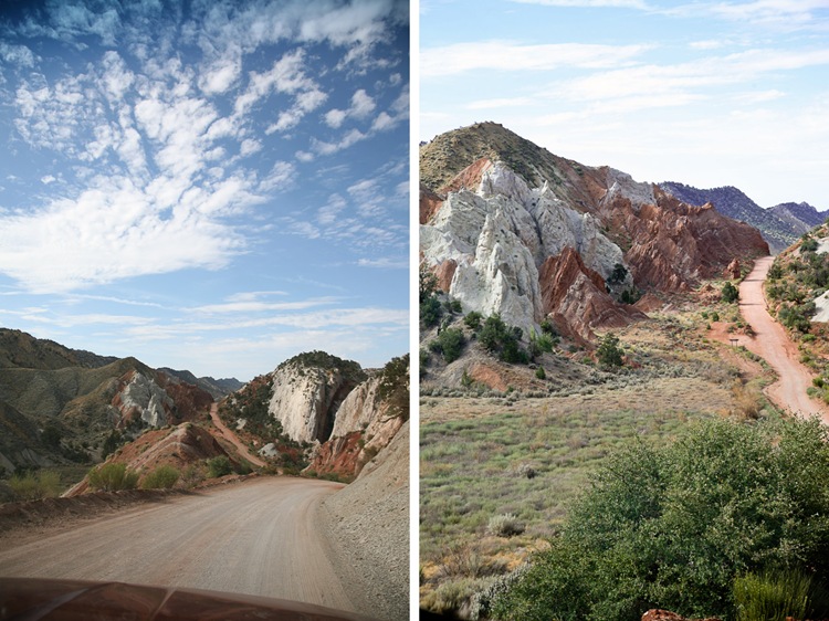 cottonwood diptych