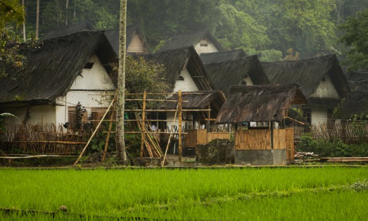 Edukasi Desa - Desa di Indonesia: Sejarah, Struktur, dan Peran Pusat Kehidupan Pedesaan