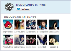 Follower Box Twitter di blog