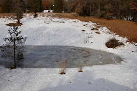 the pond, early Spring 2019