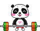 Gif panda