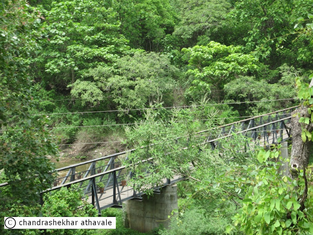 images of front door steps Ravine with River Bridge | 640 x 480