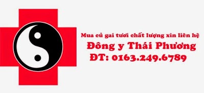 hình ảnh củ gai