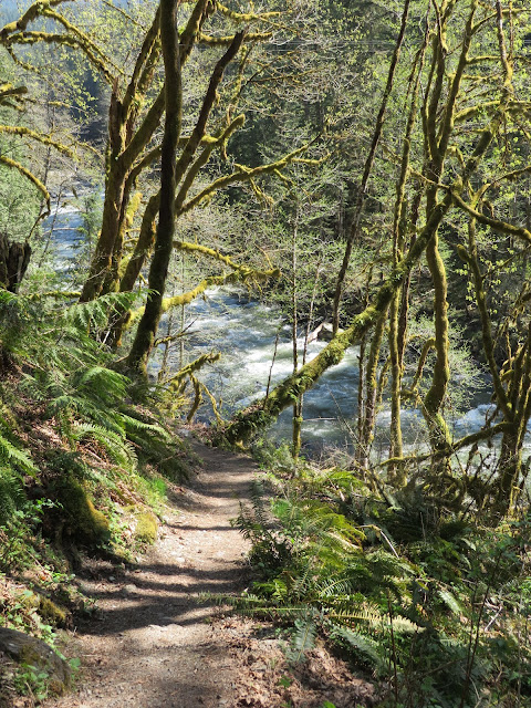 Horseshoe Bend Trail