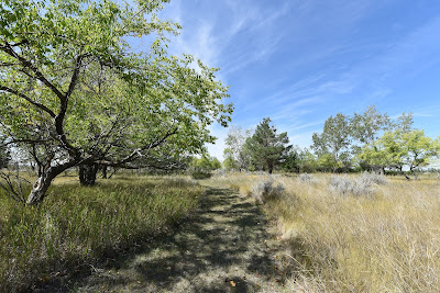 Danielson Provincial Park TCT pathway.