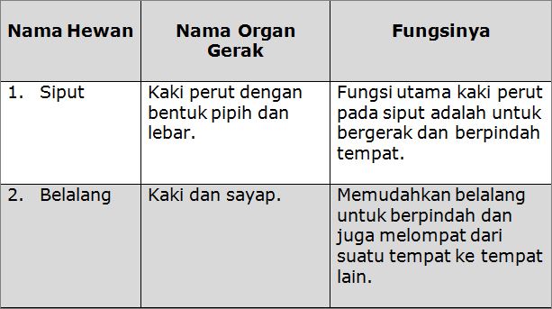  Nama Organ Gerak Belalang Dan Fungsinya  Dunia Sekolah