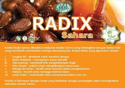 Radix Sahara  DuniaHerbaHPA.com