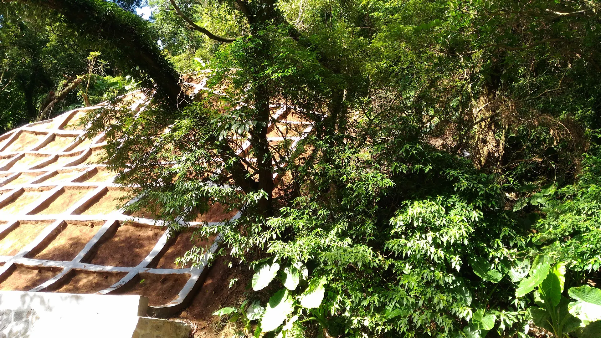 相片：