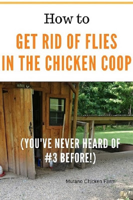 fly free chicken coop after following these instructions