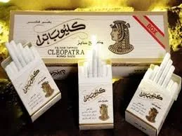 آخر أسعار السجائر في مصر لعام 2024 بعد الزيادات الأخيرة