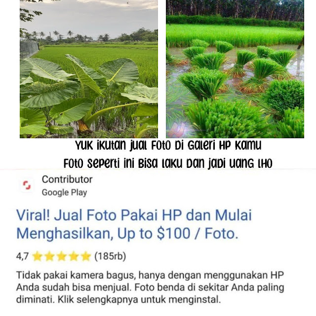 Aplikasi Penghasil Uang Dengan Jual Foto Online