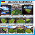 PES 2015 Pack of Stadiums V2