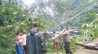 Bhabinkamtibmas Kalurahan Kaligintung Bersama Warga Evakuasi Pohon Tumbang