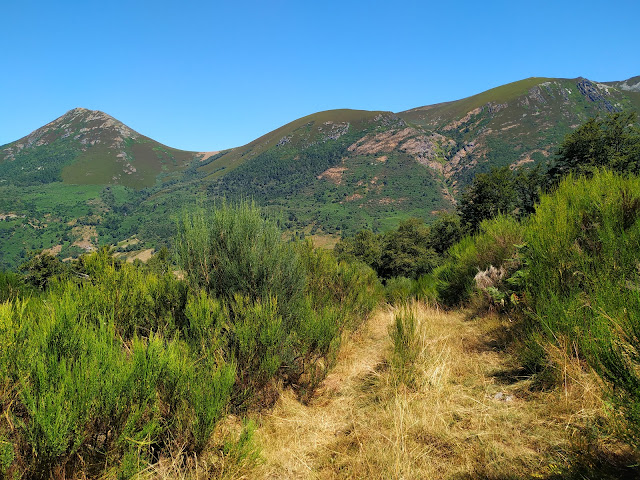 Bosque de Hermu (Hayedo del Monasterio de Hermo). ¡El mayor hayedo de Asturias!