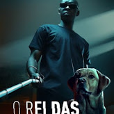 O Rei das Sombras Torrent (2023) Dual Áudio 5.1 WEB-DL 1080p