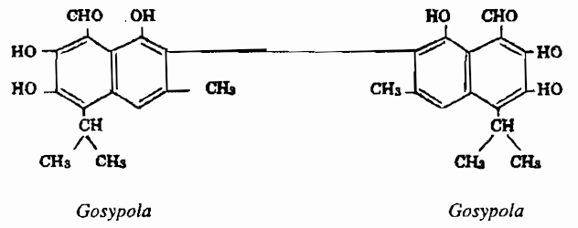 CHỮA BỆNH PHỤ NỮ - Cây Bông (TPHH)