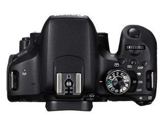 Best DSLR camera 2019: 10 great cameras to suit all budgets