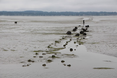 Photo: mud flat with two parallel lines of wooden uprights protruding from the mud