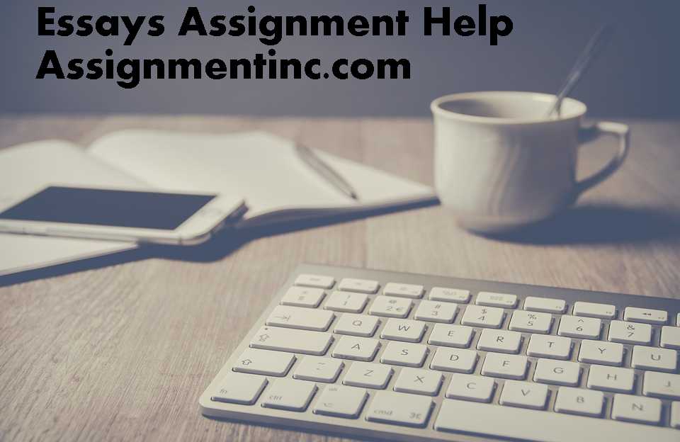 Reports Essay Assignment Help