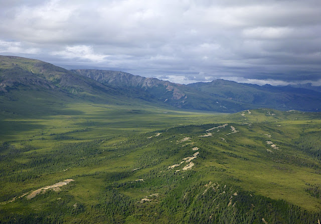 Birds Eye View, Denali National Park from a Plane, Alaska, #Denali #Alaska