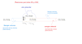 presiones parciales oxígeno