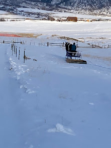 Horse drawn snow groomer