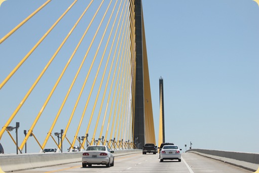 St. Petersburg, FL 029