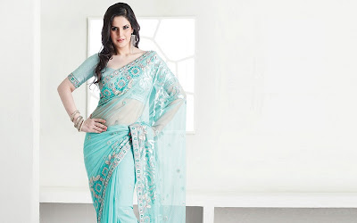 Zarine Khan hd Wallpaper  75