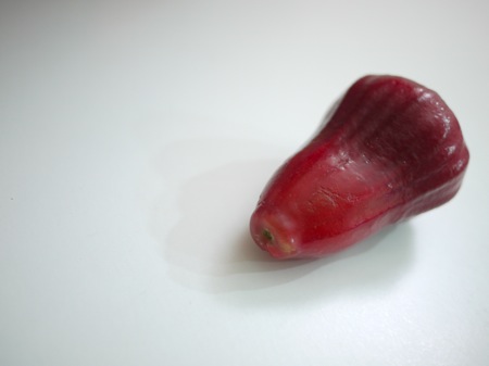 P1080115.JPG