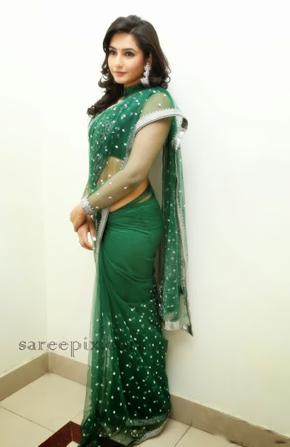 Ragini-dwivedi-saree