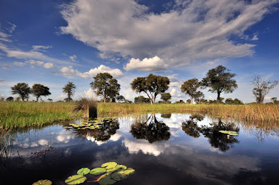 http://www.namibiareservations.com/eastcaprivie.html