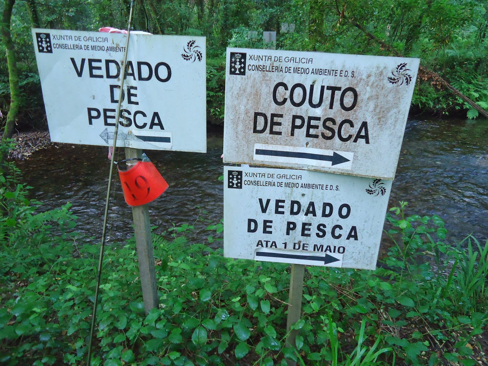 A TEMPADA GALEGA DE PESCA FLUVIAL 2017 COMEZA O VINDEIRO 19 DE MARZO CON MÁIS TRAMOS DE PESCA LIBRE SEN MORTE