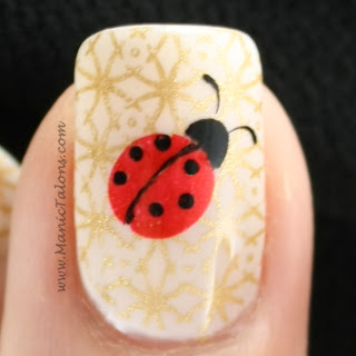 gold and ladybug