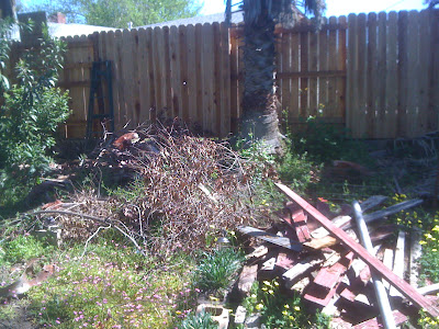 a junky area in my backyard